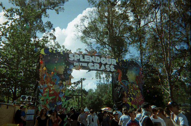 splendour in the grass: day one