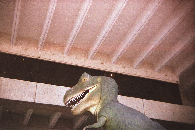 film photos: prehistoric/futuristic