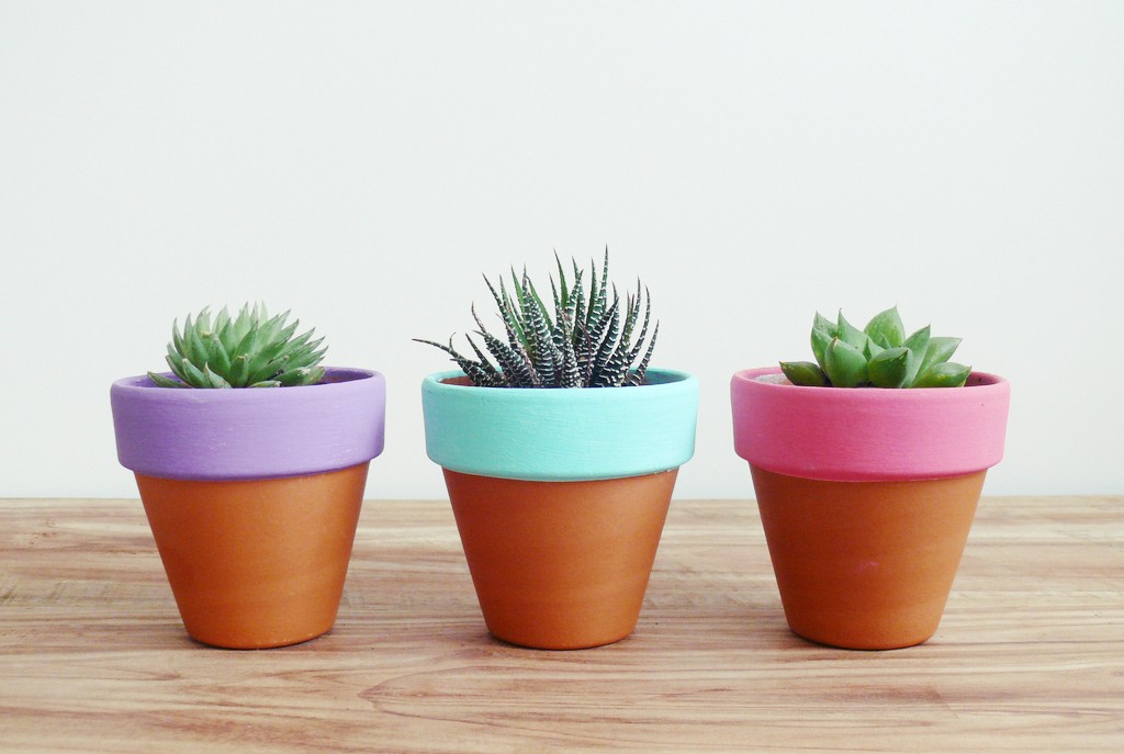 diy: painted terracotta pots