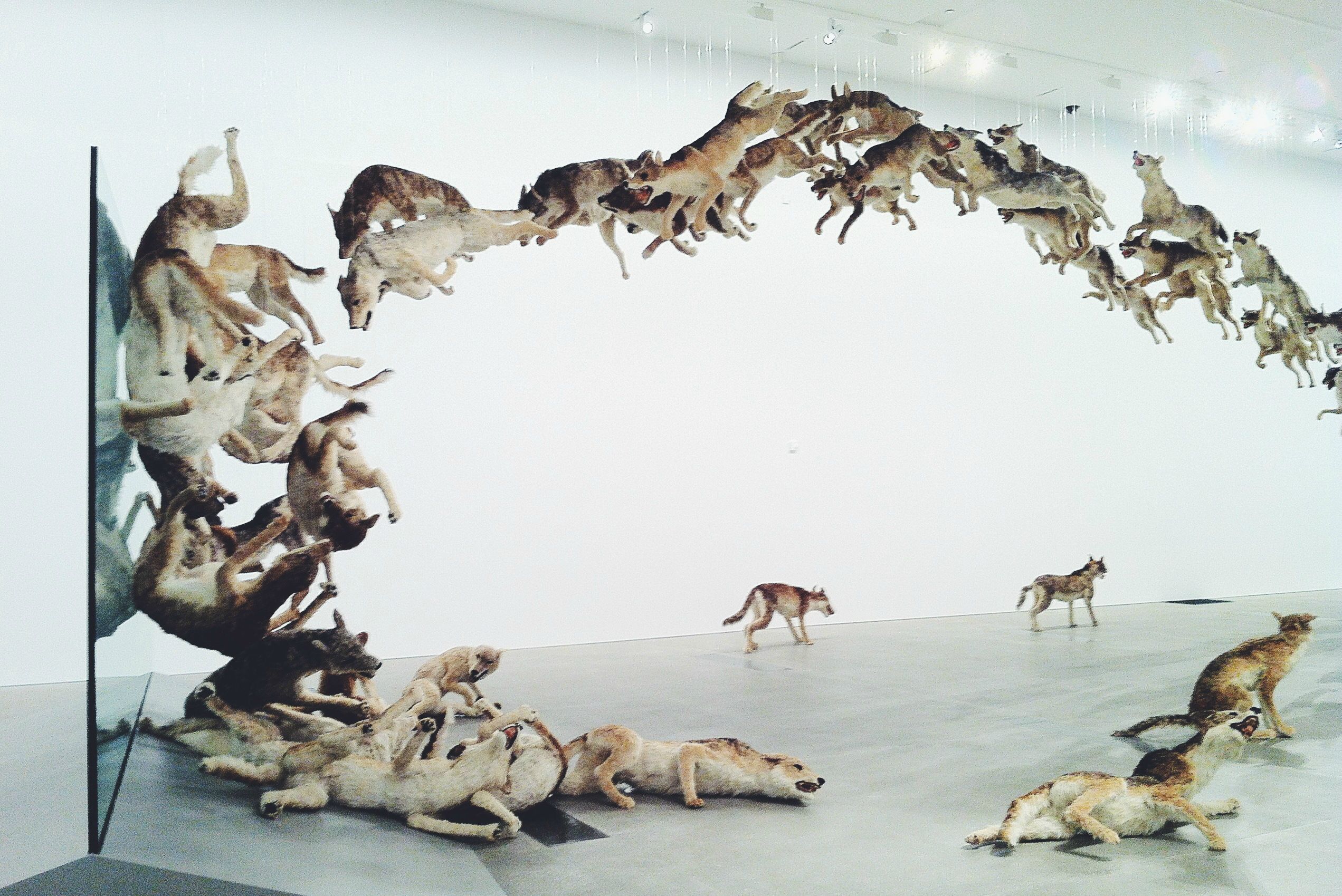 Cai Guo-Qiang: Falling Back To Earth