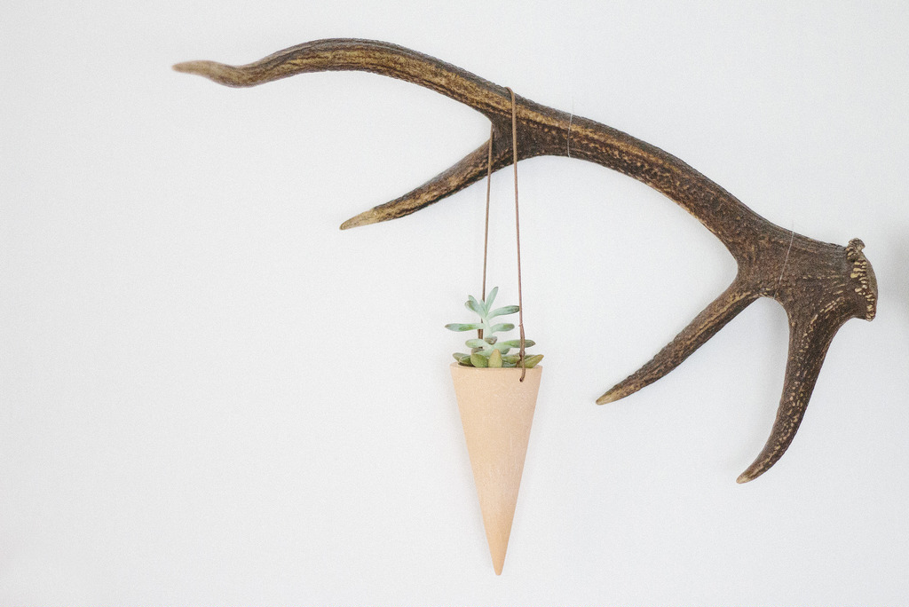 Vessel and Vine Cone Planter