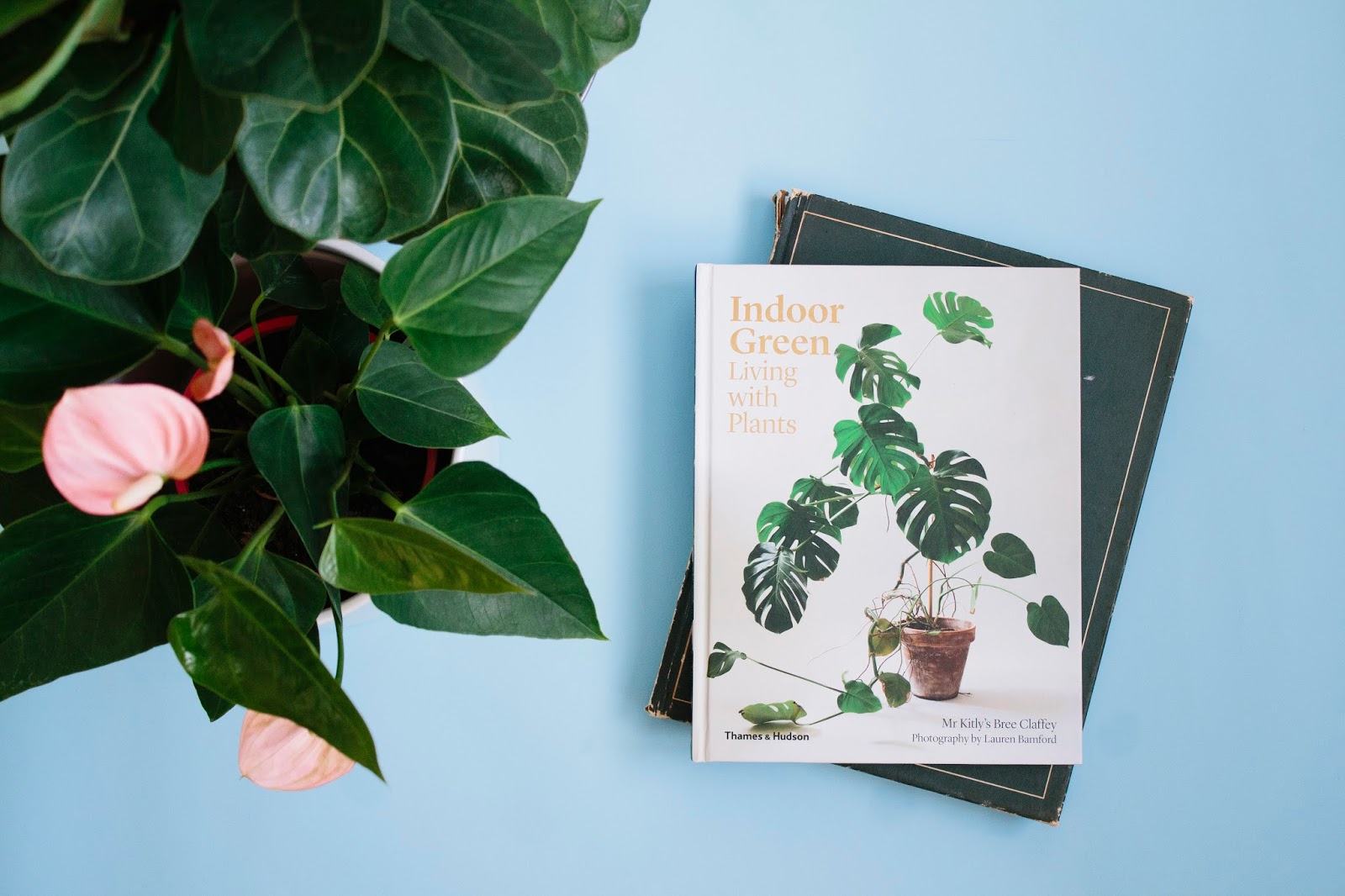 Books About Plants